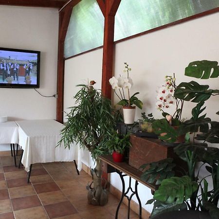 Setnik Guesthouse Valpovo المظهر الخارجي الصورة